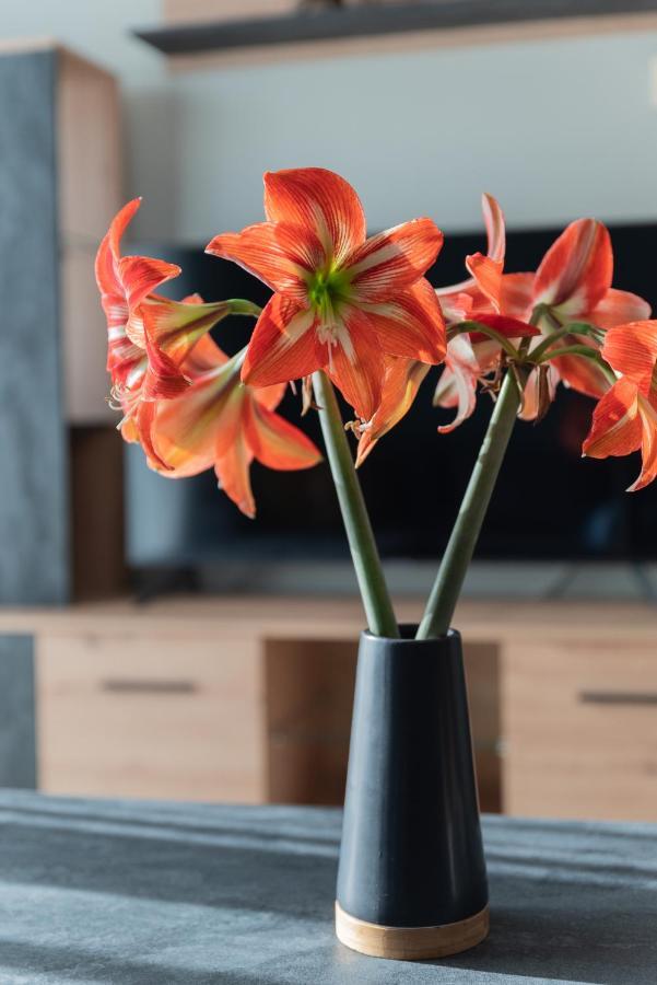 Appartement Dejaview Cozy By 8essentially *
